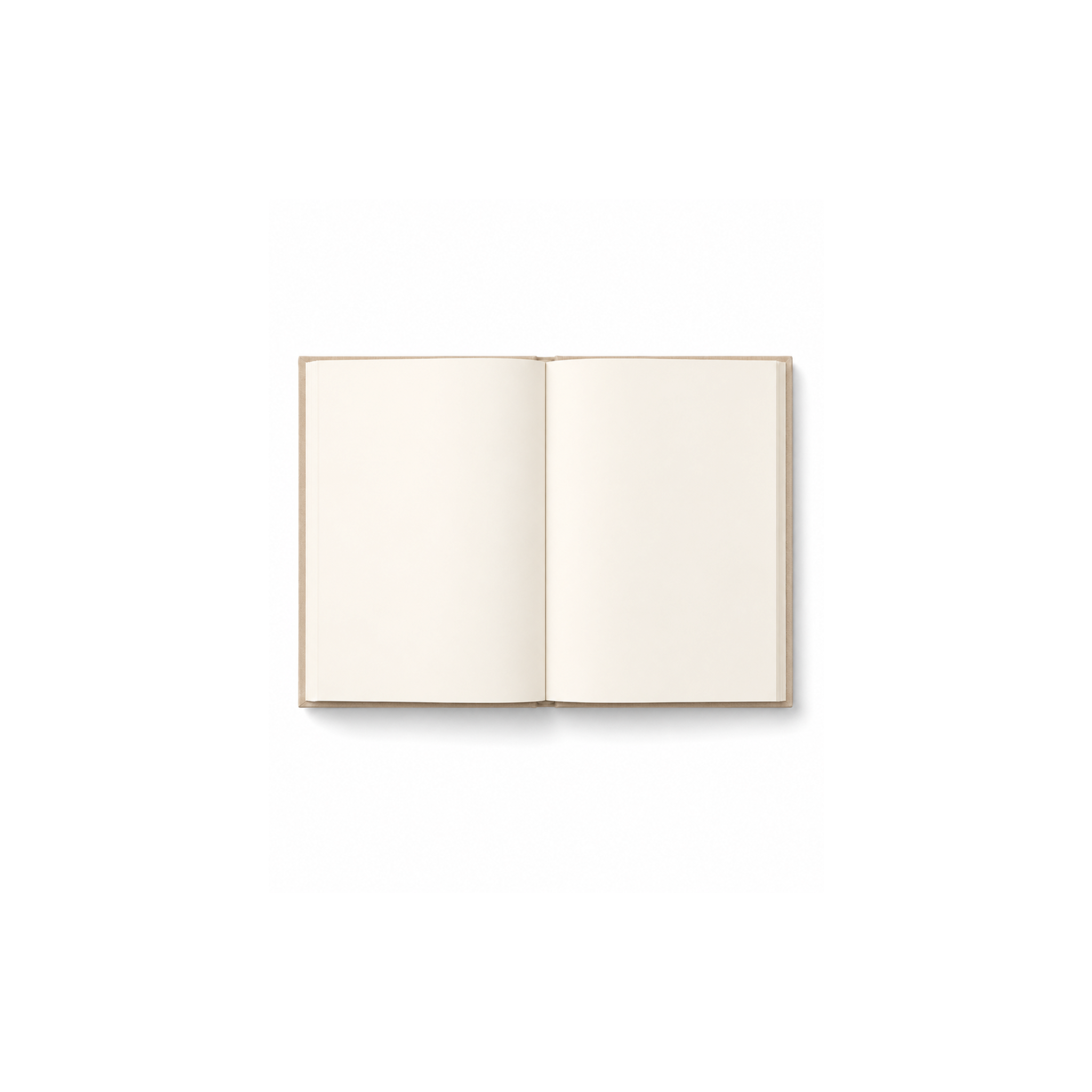 Remnant of Light Notebook